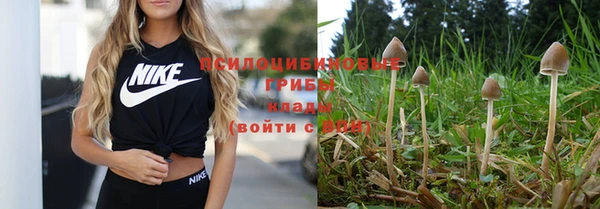 spice Вязники